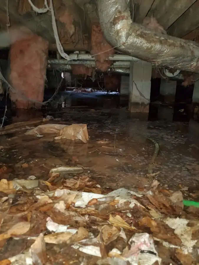 Crawl space flood assessment for Leak Detection & Repair in Woodbury