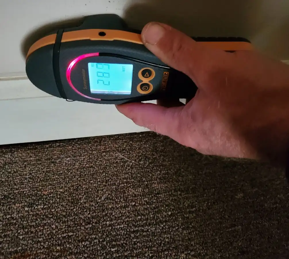 Moisture detection at baseboard during Burst Pipe Cleanup in Woodbury